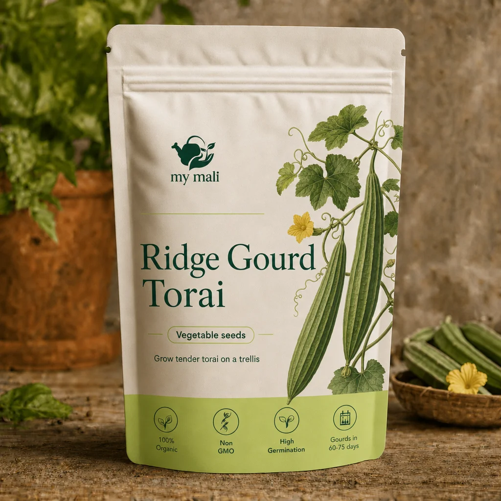 Ridge Gourd Seeds (Torai)