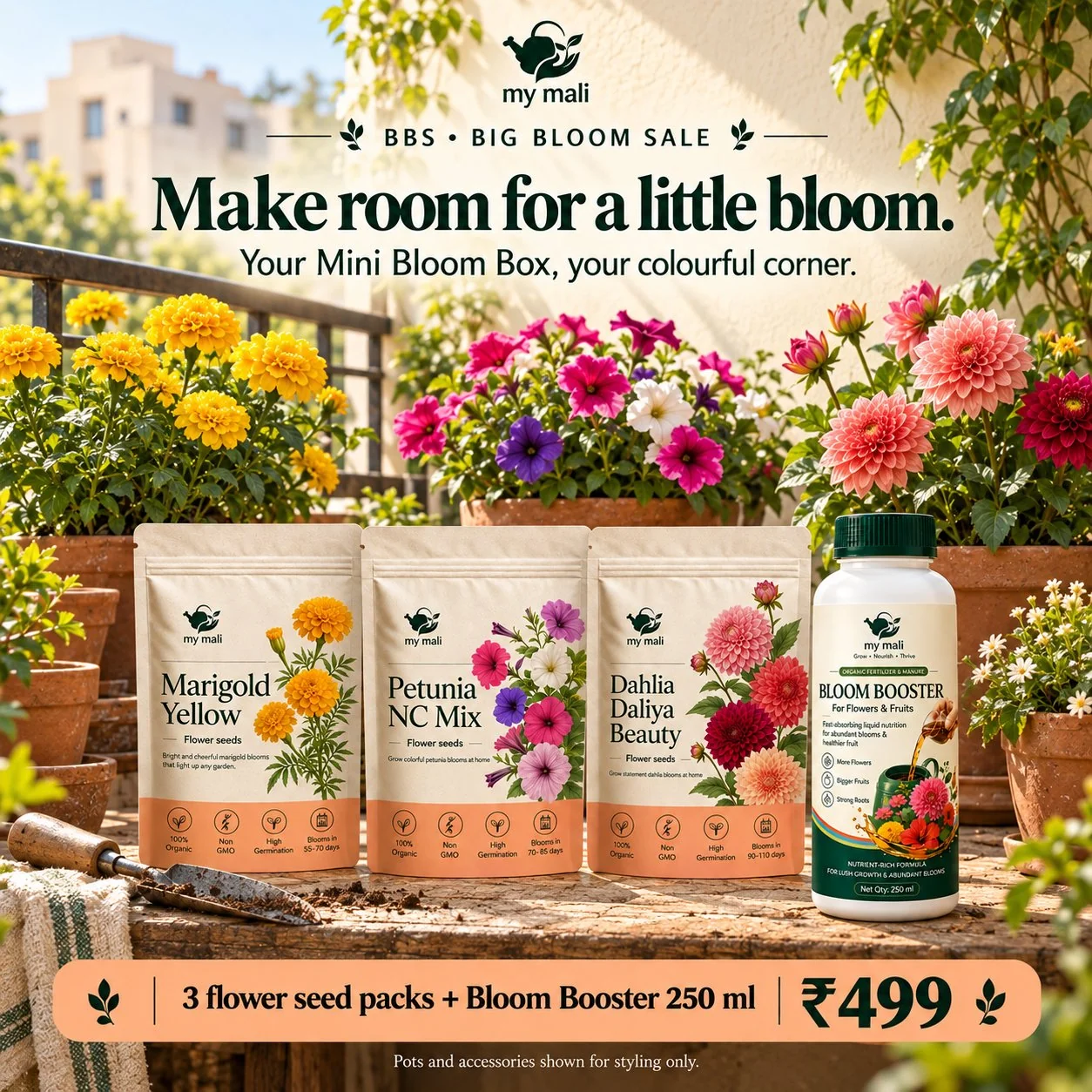 Mini Bloom Box — image 3 of 4 (thumbnail)