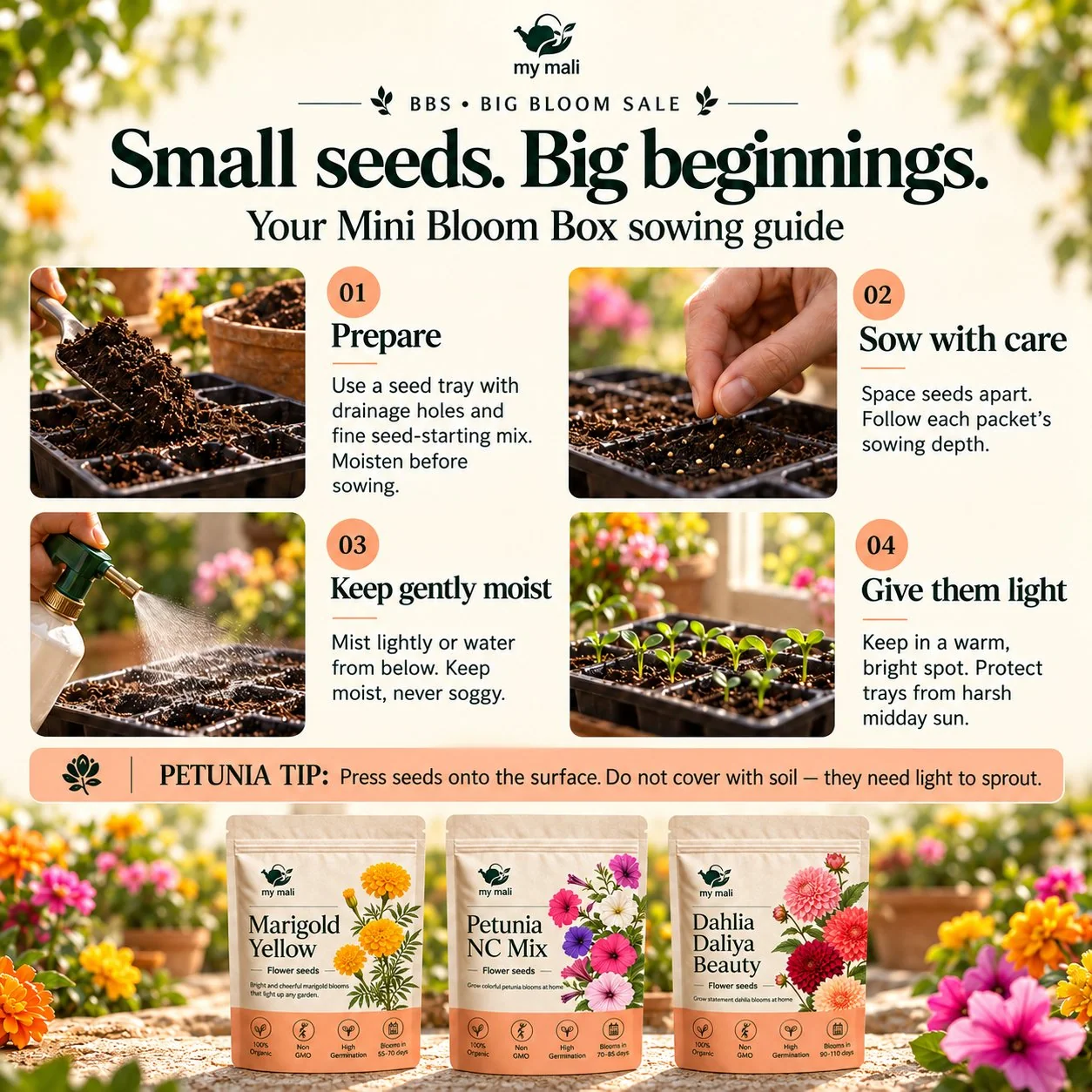 Mini Bloom Box — image 4 of 4 (thumbnail)