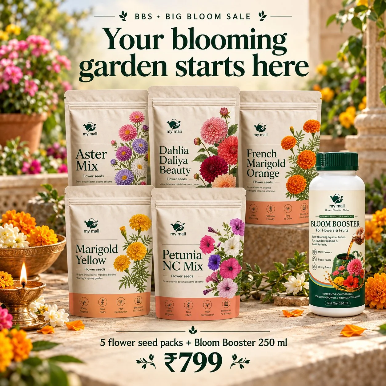Big Bloom Box
