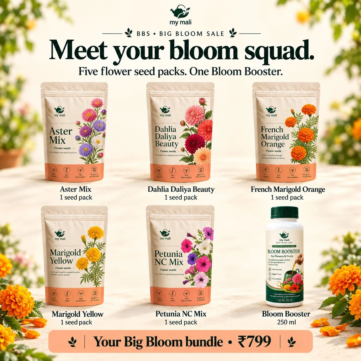 Big Bloom Box — image 2 of 4 (thumbnail)