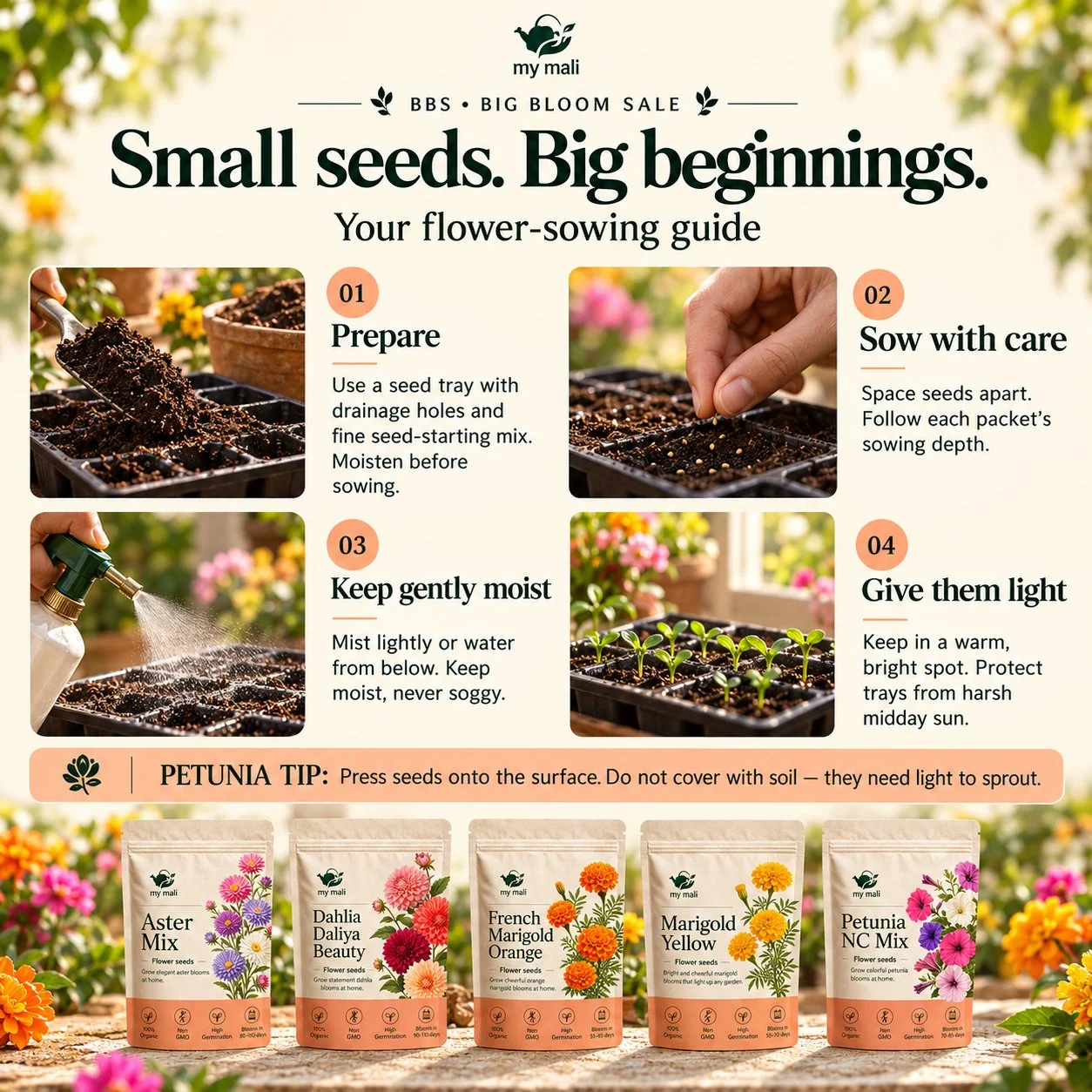 Big Bloom Box — image 3 of 4 (thumbnail)