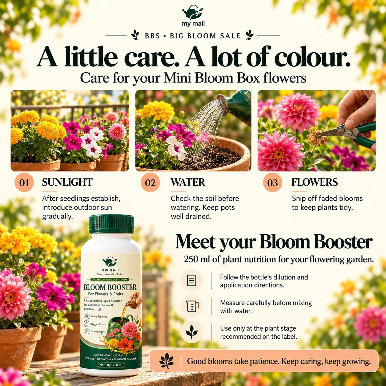 Big Bloom Box — image 4 of 4 (thumbnail)